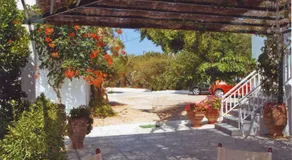 Angela's - Image 5