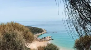 Wombat Pavilion - Image 3