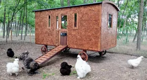 Alpacacamp - Image 3