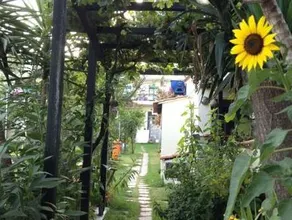 Angeliki Beach Hotel - Image 4