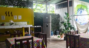 The Jungle Container - Image 3