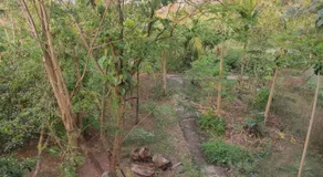Gulmohar Cottages - Home Stay in Alibag - Image 5