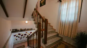 Maya - Image 4