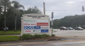 Sawgrass - Image 2