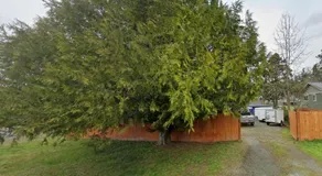 The basics in Edgewood - Image 2