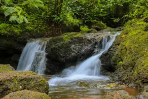 Unwind in Nature @ The Moonlit Stream - An ecostay - Image 5
