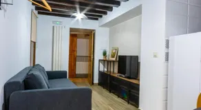 Apartamentos Turísticos La Casa Grande - Image 4