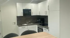 Ferienwohnung H&M Immobilien - Geiseltalsee - Image 4
