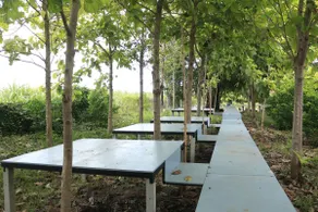 Tent มีแอร์ นอนได้2คน - Image 4
