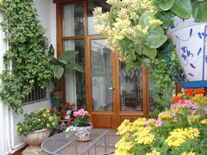 100264 -  House in Gandia - Image 4