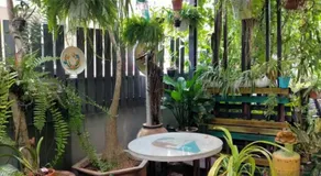 Art Villa - Image 3