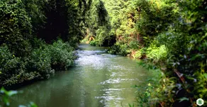 Hiliya Resort - Image 5