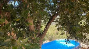 אוהל אברהם- אוהל אירוח עם אווירה ייחודית ונוף מדהים למשפחות ולקבוצות - Image 3