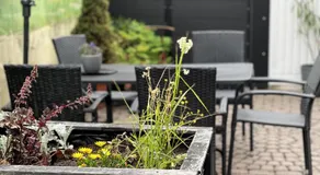 Feel Good Zimmer & Appartements - Image 3