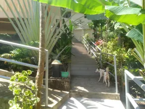 Woodland Inn - Image 3