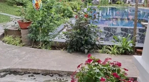 Panda villas - Image 3