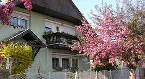 Rohonci Vendégház - Image 4