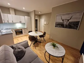 Urban Apartments 101. St. Olavs Plass - Image 2