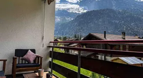 Swiss Alps Lodge - Image 5