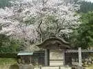 Jinya - Image 1