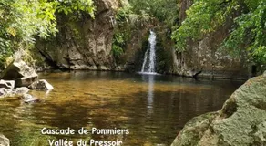 Les Bienfaits d'Harmonium - Image 4