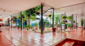 Hotel Villa Paraiso - Image 4