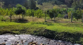 Chalés Pé da Serra - Image 3