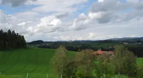 Desl´s little farm - Image 5