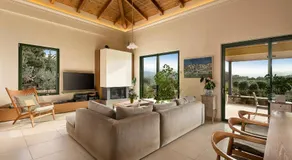 Ariti Villa - Image 4