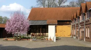 Pension Zur Mühle - Image 3