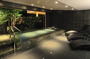 Echigo Yuzawa Onsen Sakura Tei Ryokan - Image 3