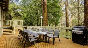 Modern Seednest Treehouse, Forest & Mountain View - Image 5