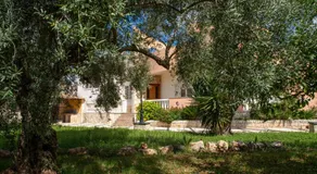 Villa Bartolomeo - Image 4