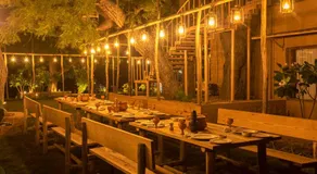 Anavya Chilli Farm by Viraalay - Image 4