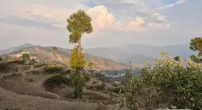 Adorable Stay - Pauri - Image 4