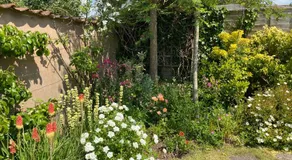 The Barn @ Bishops Lydeard - Image 5