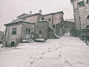 tartufo hotel - Image 4