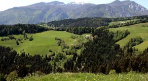 Farmstay Hiša Pečovnik - Image 4