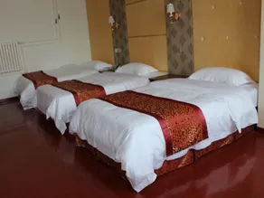 GreenTree Alliance Hotel Dezhou Pingyuan County Ping'an Dong Avenue - Image 4