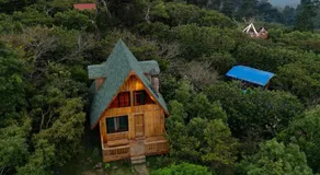Entrecafe Experience- Los Naranjos - Image 3