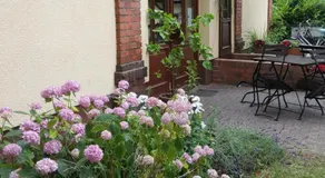Pension Am Holzgraben - Image 4