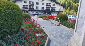 Appartements MAGLOV - Image 4