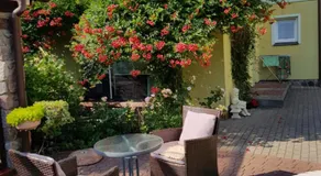 Vila Florena Garden - Image 4