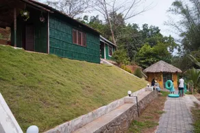 Coconut Valley - Image 4