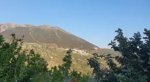 Casa papi - Image 4