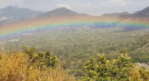 El Zumbito - Image 5