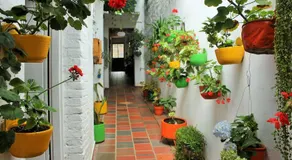 Hospedaje Los Capuchinos - Image 5