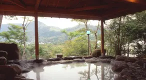 Senkyoro - Image 5