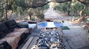 אוהל הזית - Image 5
