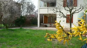La Quercia e il Gelso - Image 5